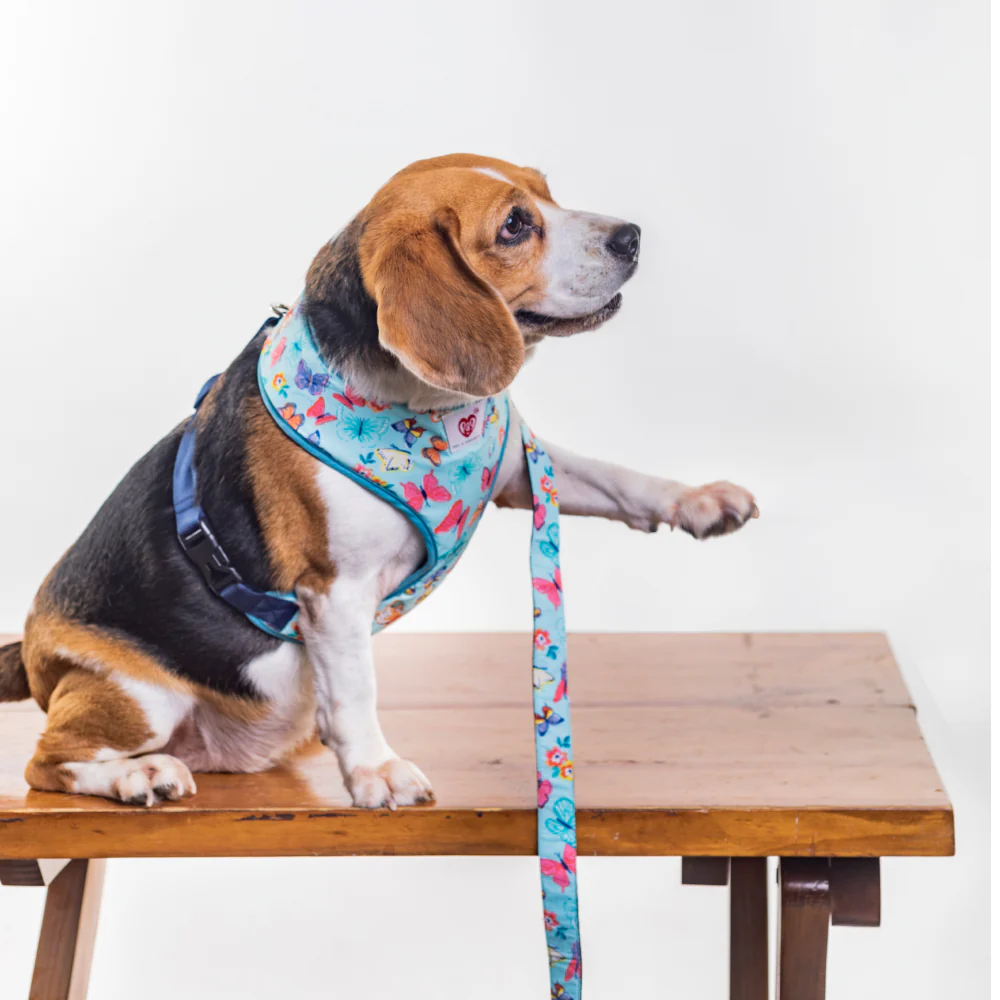 Pet And Parents Butterfly and Polka Reversible Harness for Dogs - Image 7