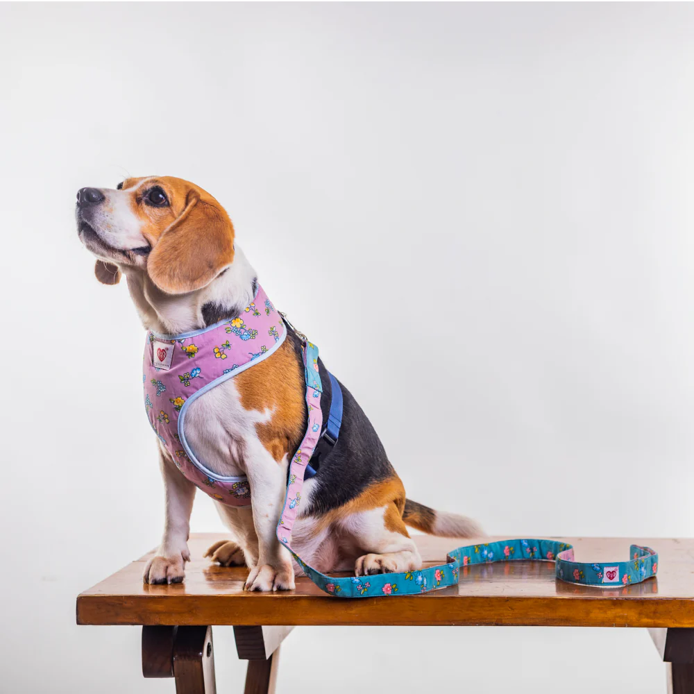 Pet And Parents Dainty Floral Reversible Harness for Dogs - Image 6