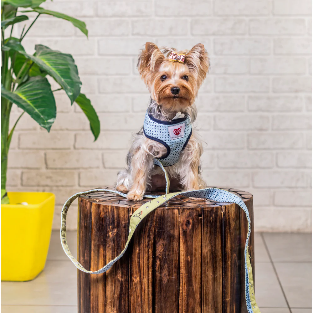 Pet And Parents Green Garden Reversible Harness for Dogs - Image 6