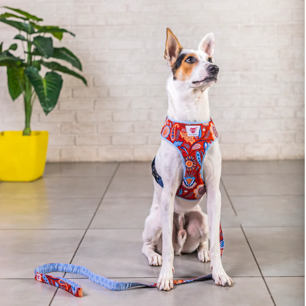 Pet And Parents Indie Floral Reversible Harness for Dogs - Image 6
