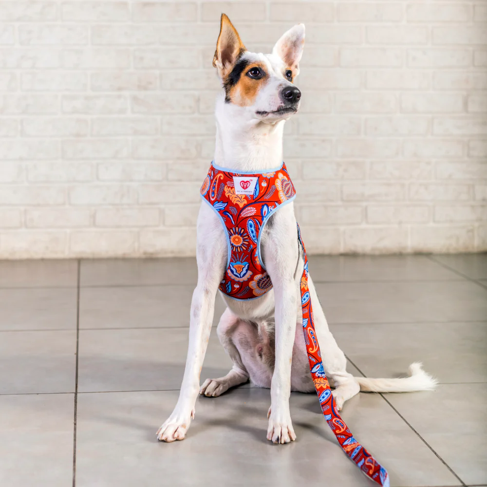 Pet And Parents Indie Floral Reversible Harness for Dogs - Image 7