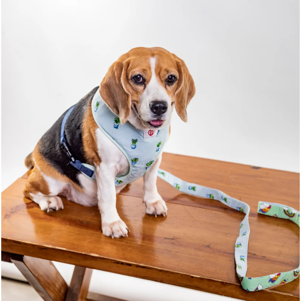 Pet And Parents Little Plant’s Wonderland Reversible Harness for Dogs - Image 6