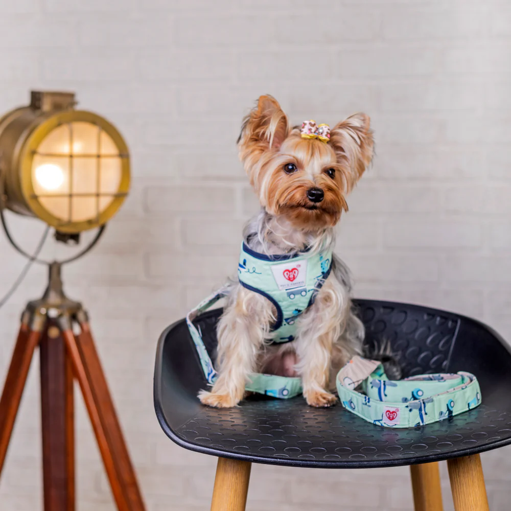 Pet And Parents Rolly Polly Reversible Harness for Dogs - Image 6