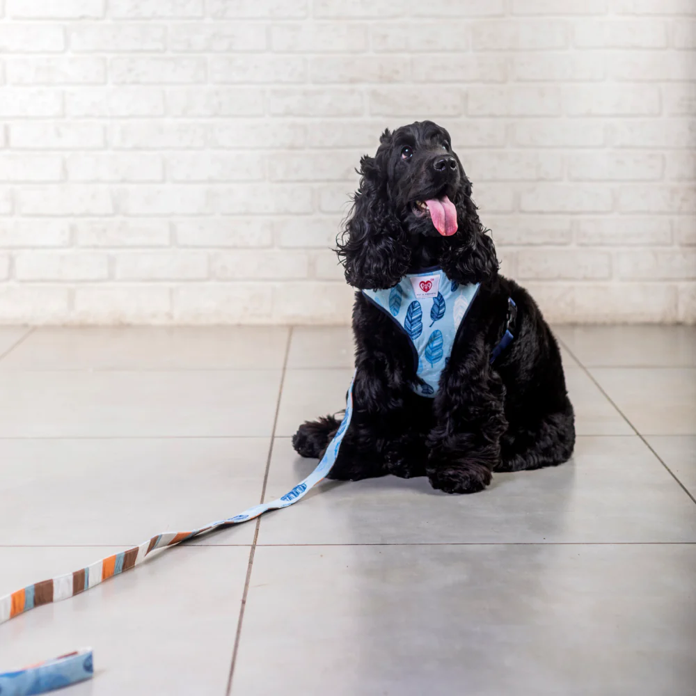 Pet And Parents Stripy Feathers Reversible Harness for Dogs - Image 6