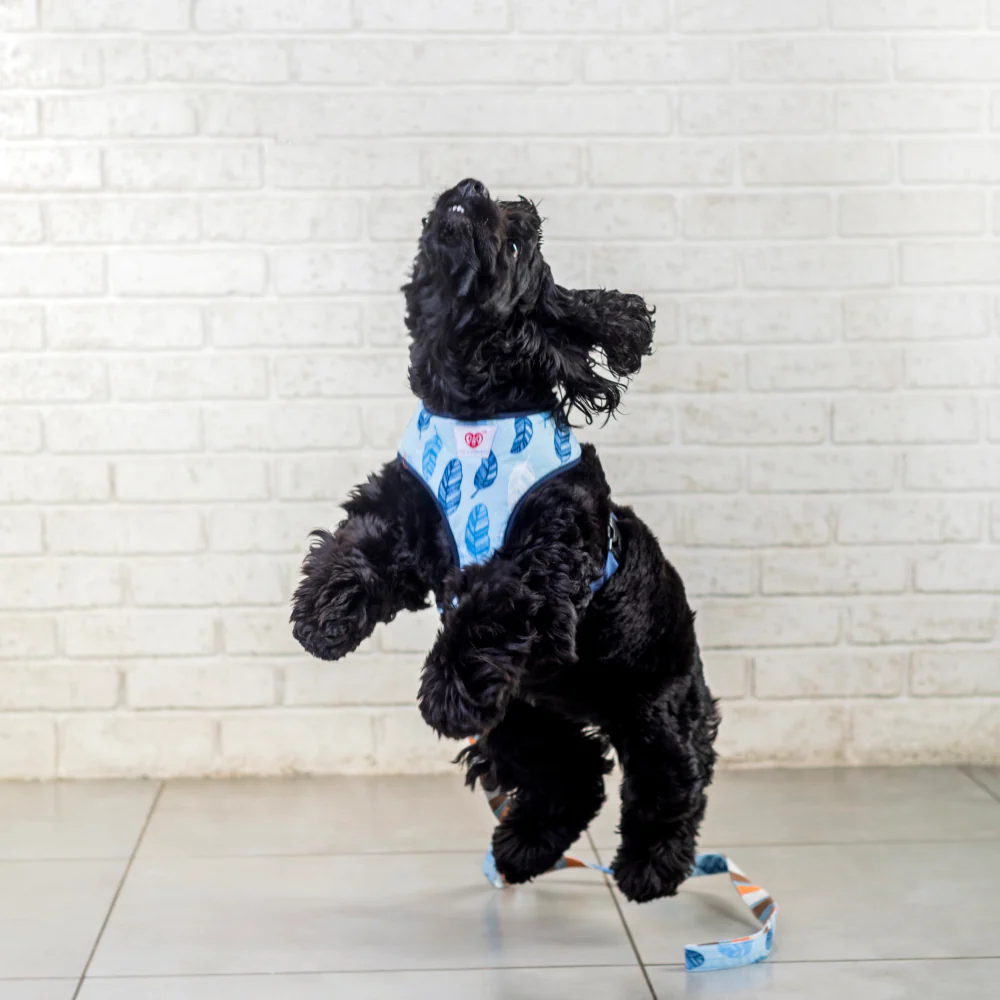 Pet And Parents Stripy Feathers Reversible Harness for Dogs - Image 7