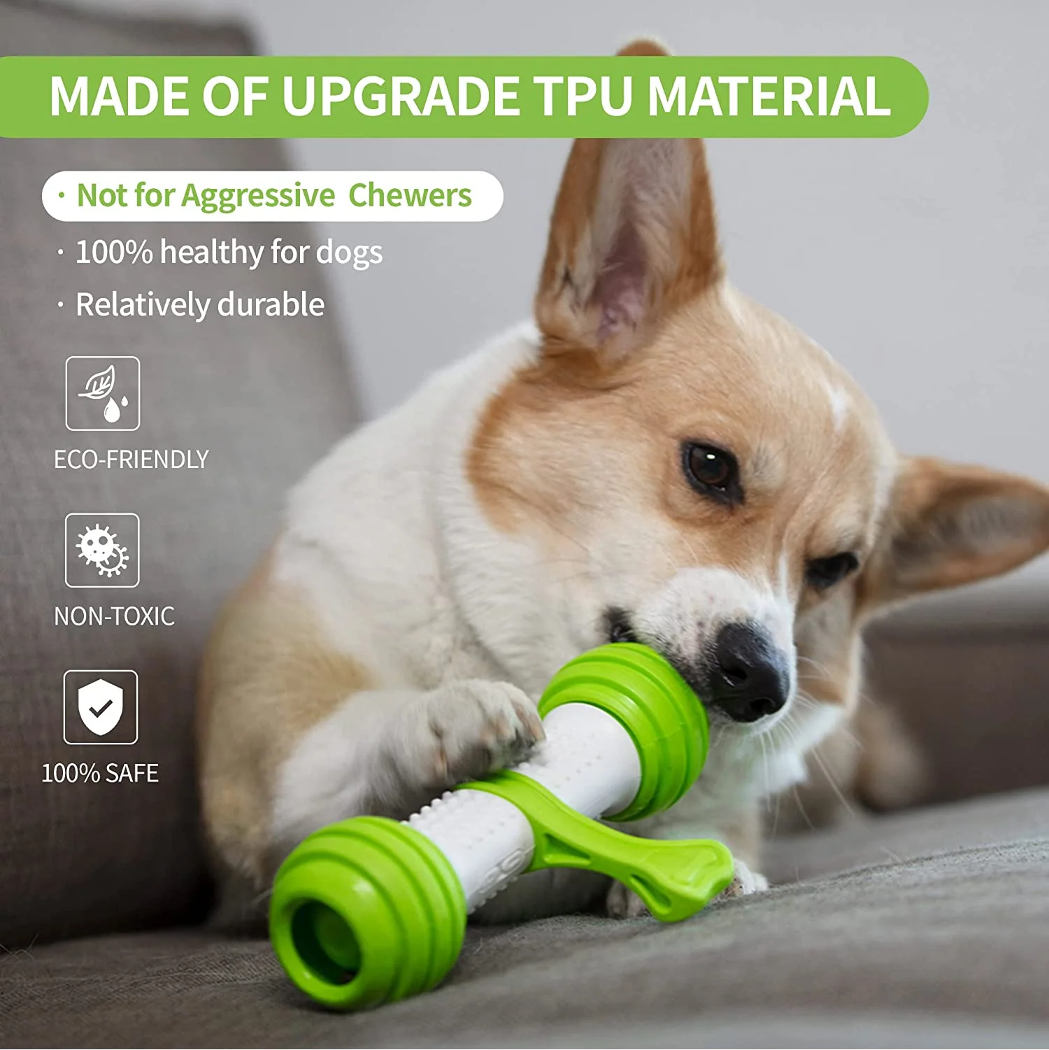 Pet Geek Playbone Toy for Dogs (White/Green) - Image 3