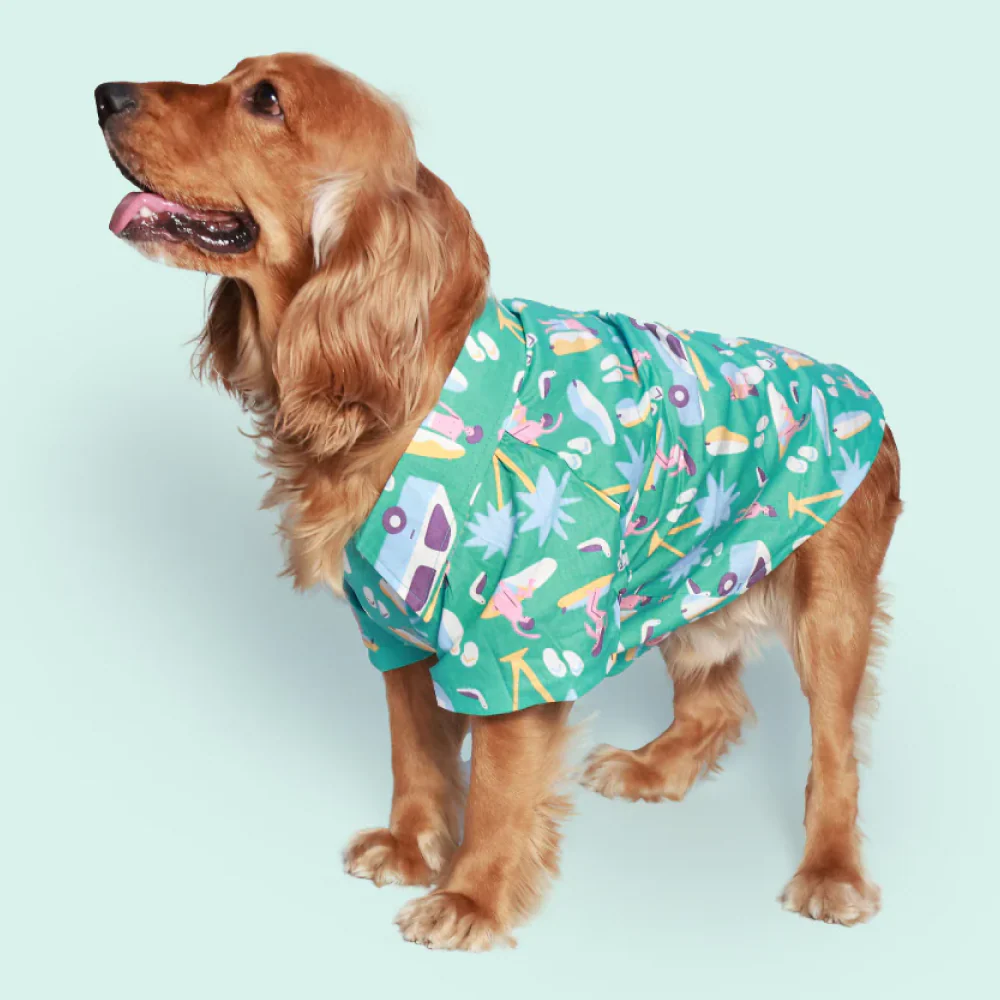 Pet Set Go Beach Club Cotton Shirt for Dogs (Blue) - Image 2