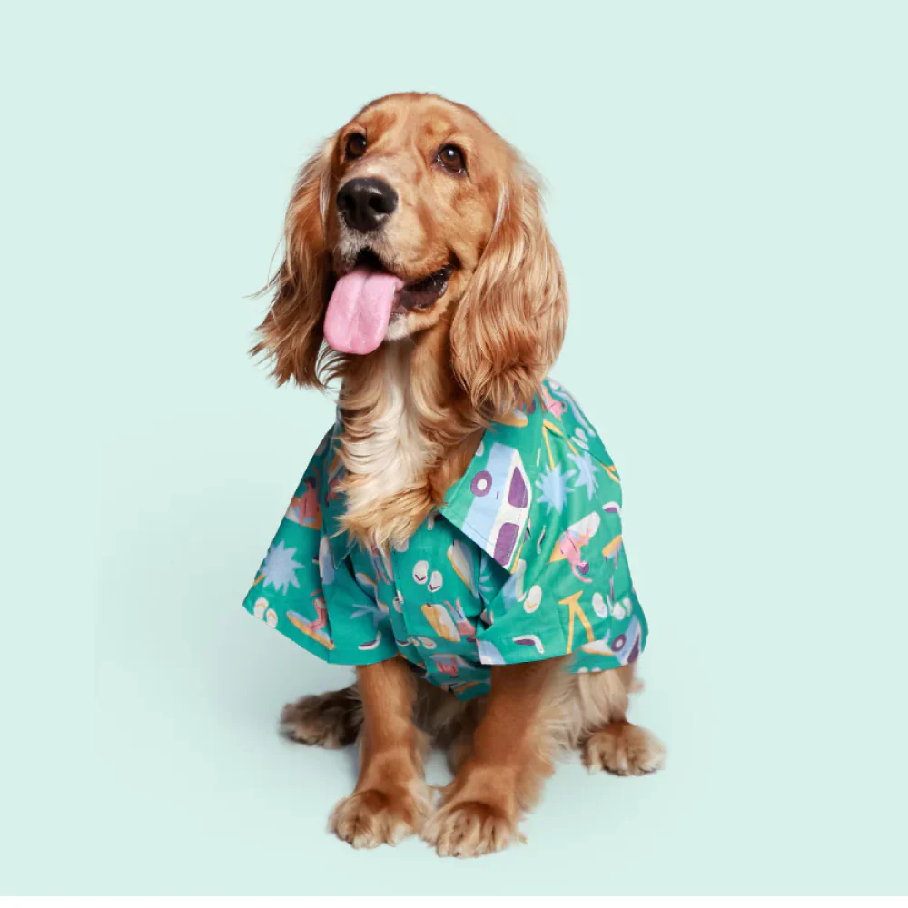 Pet Set Go Beach Club Cotton Shirt for Dogs (Blue) - Image 4
