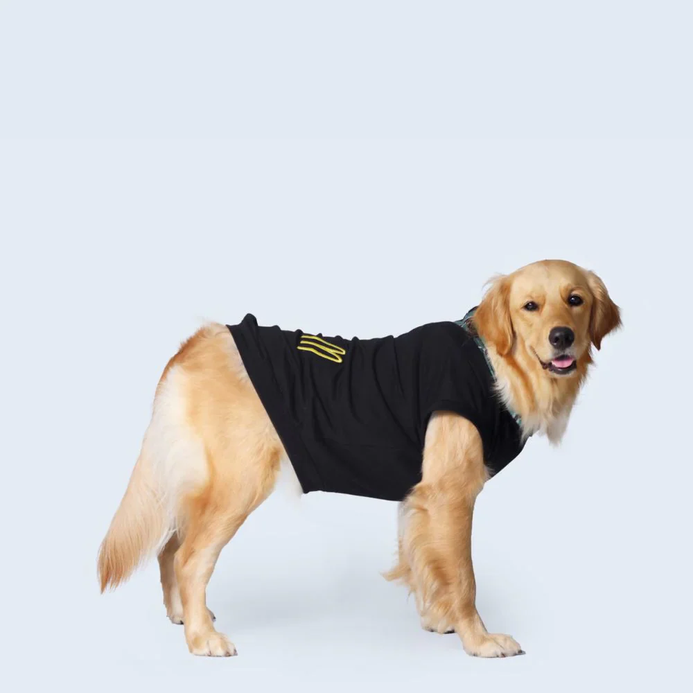 Pet Set Go Polo Knit Tshirt for Dogs (Black) - Image 3