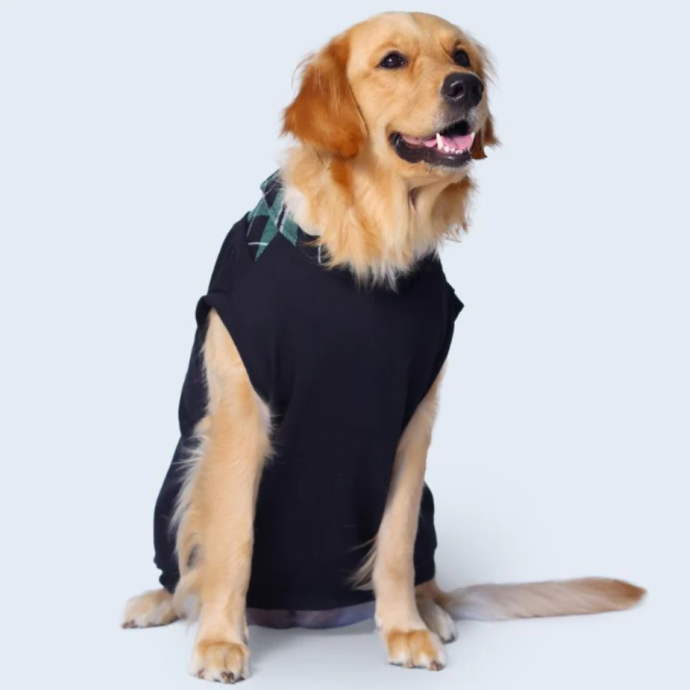 Pet Set Go Polo Knit Tshirt for Dogs (Black) - Image 5