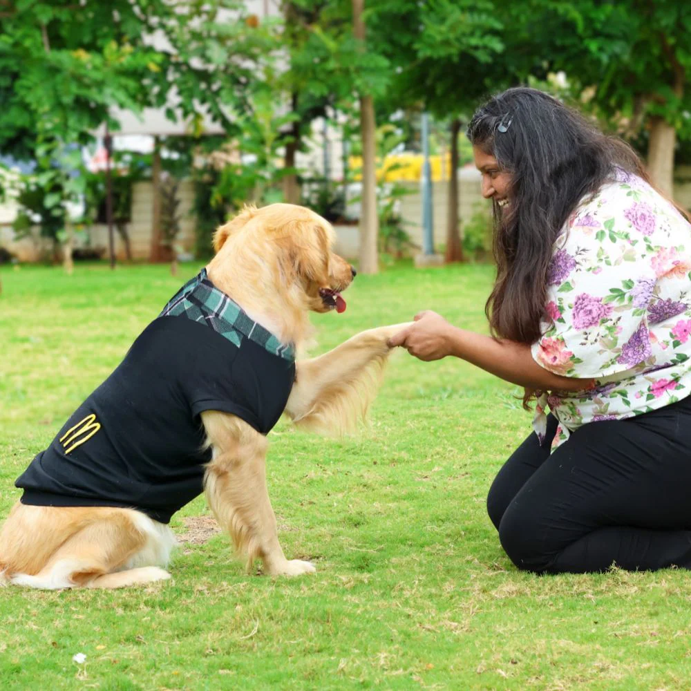 Pet Set Go Polo Knit Tshirt for Dogs (Black) - Image 8