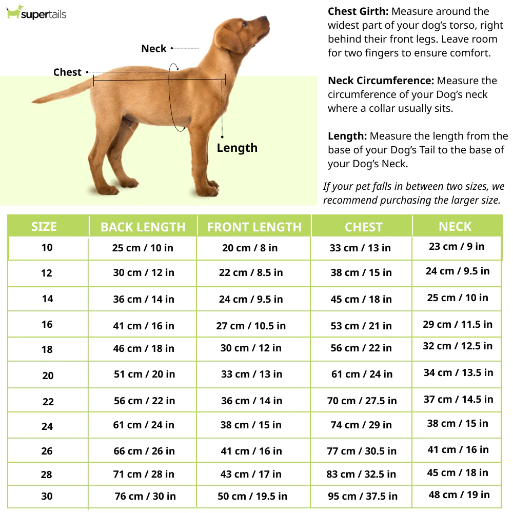 Pet Set Go Polo Knit Tshirt for Dogs (Black) - Image 9