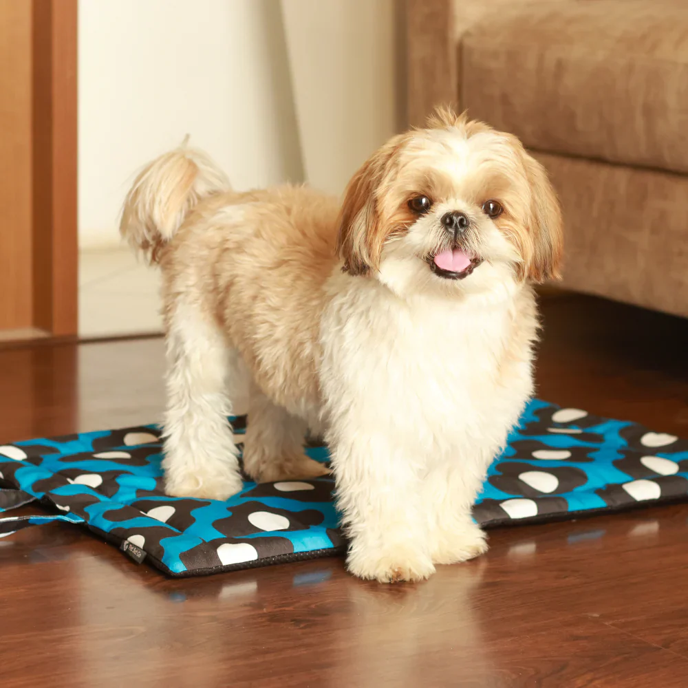 Pet Set Go Bliss Mat for Dogs and Cats (Blue) - Image 11