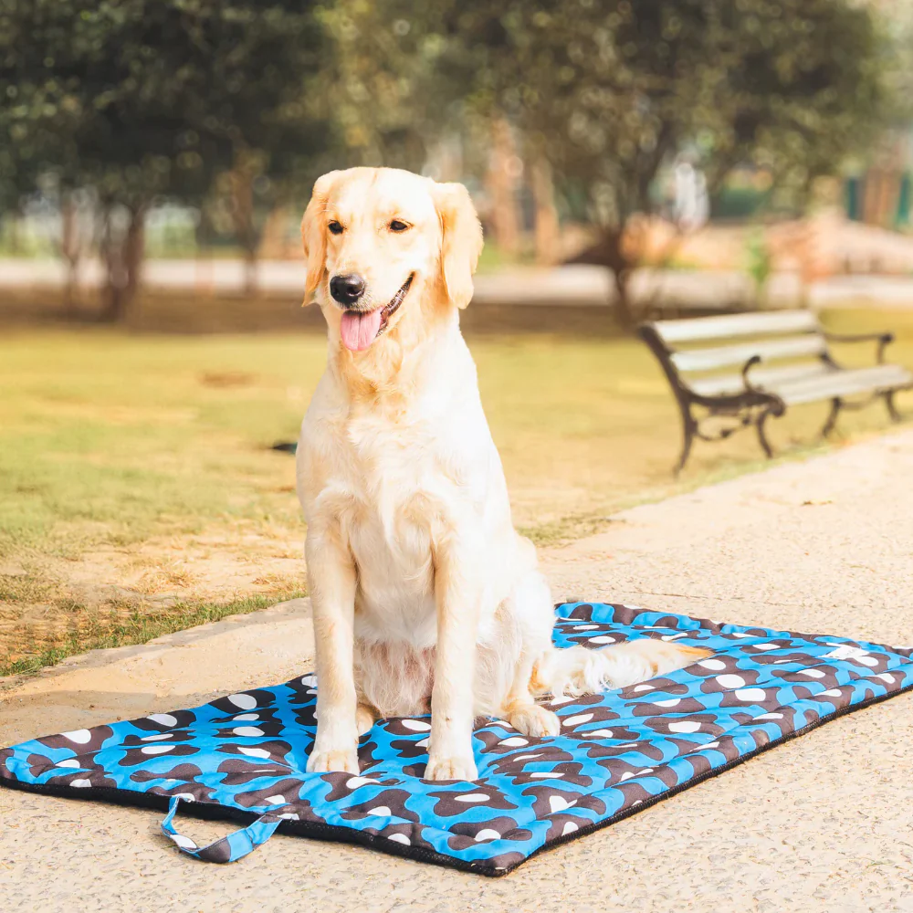 Pet Set Go Bliss Mat for Dogs and Cats (Blue) - Image 3