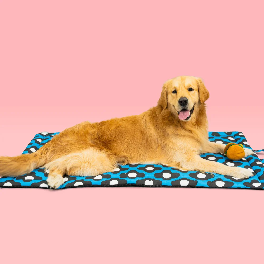 Pet Set Go Bliss Mat for Dogs and Cats (Blue) - Image 5