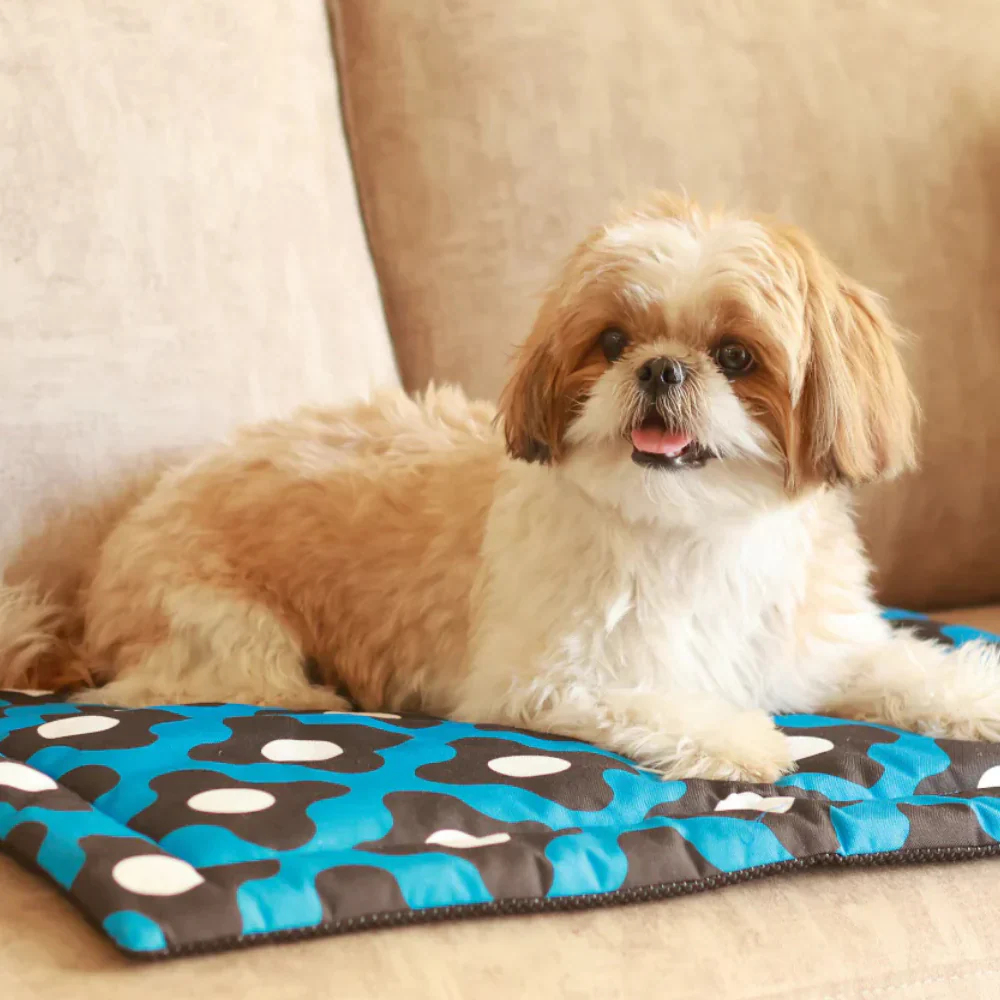 Pet Set Go Bliss Mat for Dogs and Cats (Blue) - Image 7