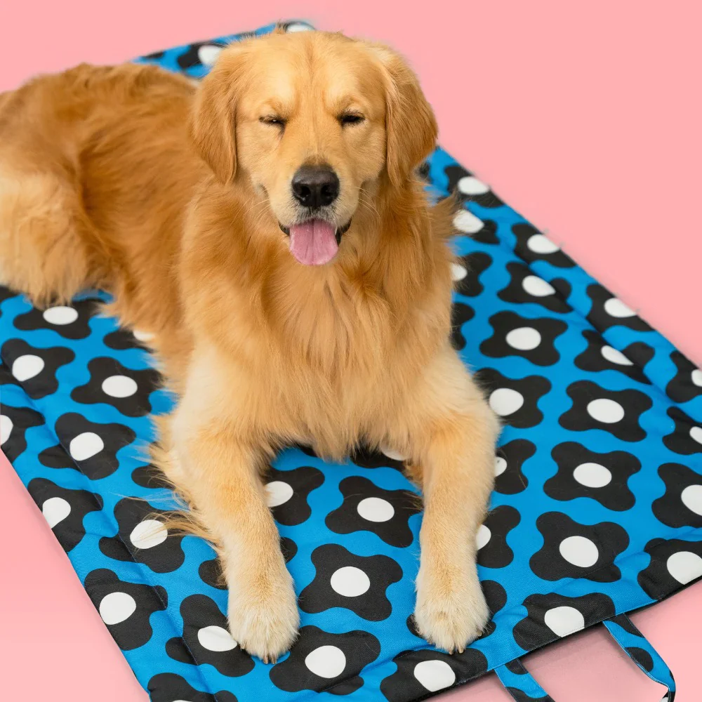 Pet Set Go Bliss Mat for Dogs and Cats (Blue) - Image 9