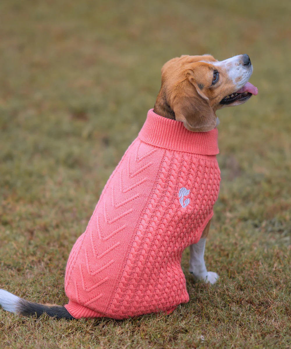 Pet Set Go Cable Knit Sweater for Dogs (Peach) - Image 3