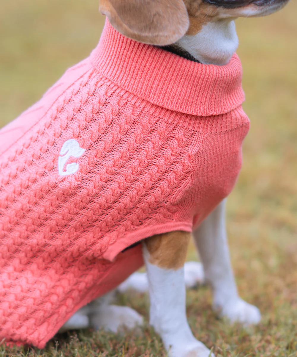 Pet Set Go Cable Knit Sweater for Dogs (Peach) - Image 4