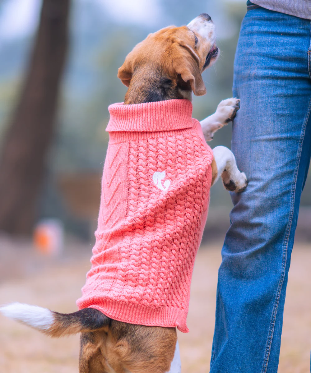 Pet Set Go Cable Knit Sweater for Dogs (Peach) - Image 5