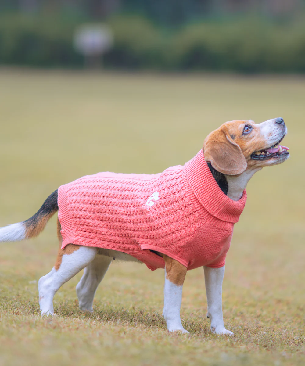 Pet Set Go Cable Knit Sweater for Dogs (Peach) - Image 6
