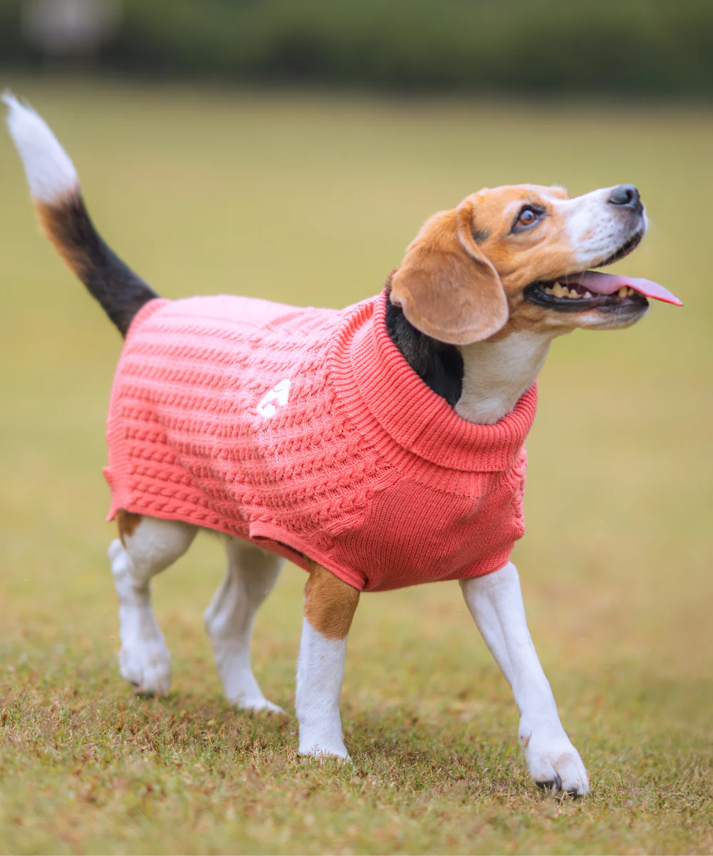 Pet Set Go Cable Knit Sweater for Dogs (Peach) - Image 7