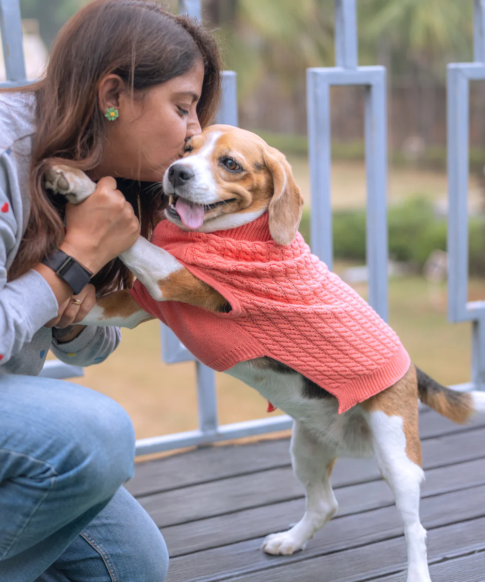 Pet Set Go Cable Knit Sweater for Dogs (Peach) - Image 8