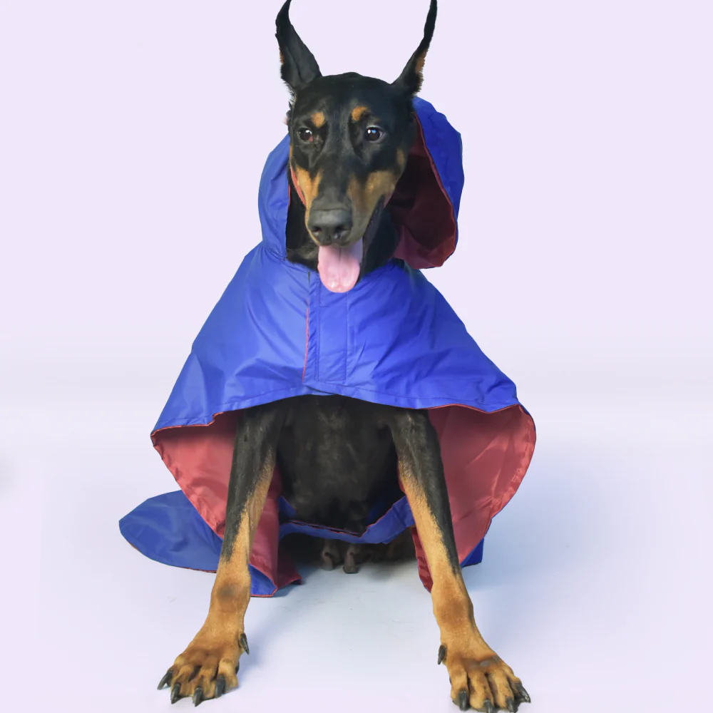 Pet Set Go Cape Style Raincoat for Dogs (Blue) - Image 10