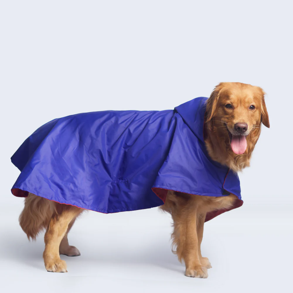 Pet Set Go Cape Style Raincoat for Dogs (Blue) - Image 6