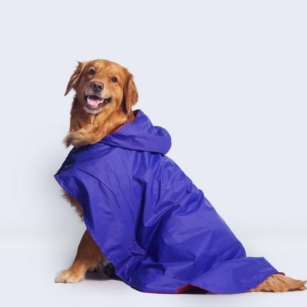 Pet Set Go Cape Style Raincoat for Dogs (Blue) - Image 7