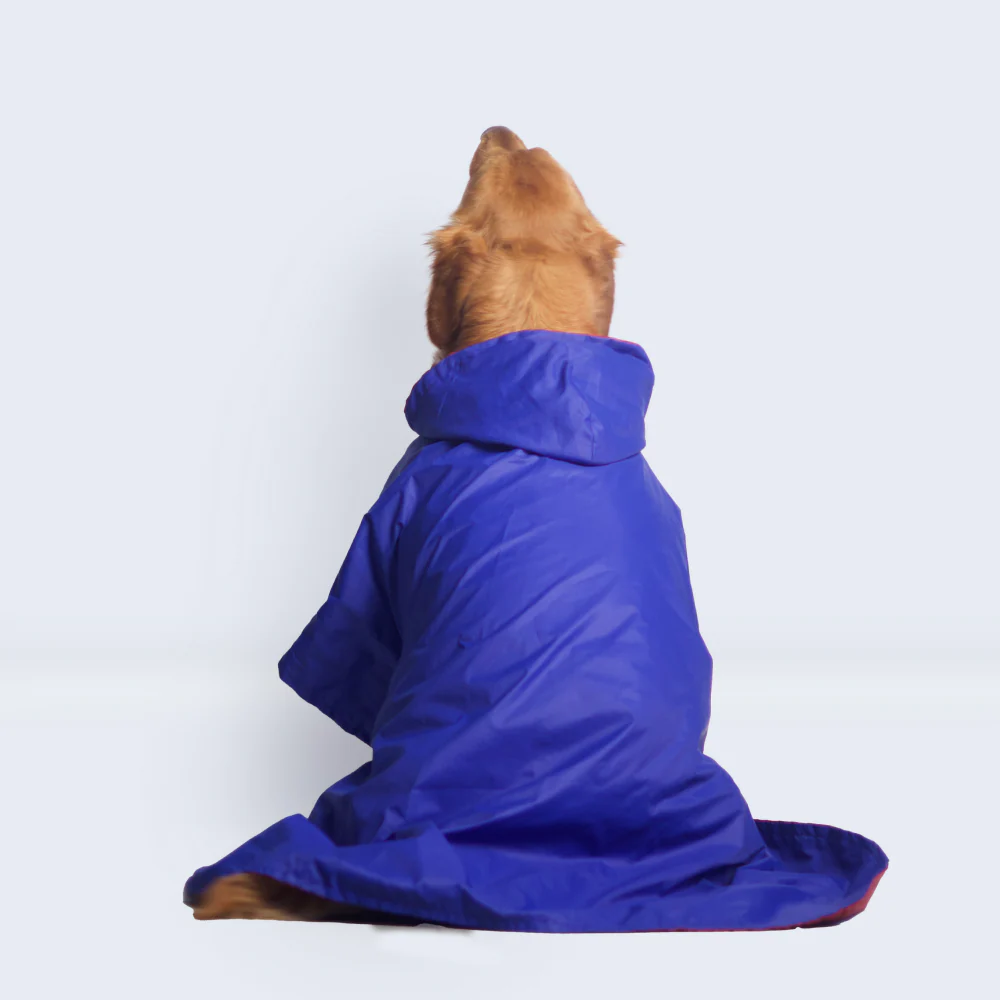 Pet Set Go Cape Style Raincoat for Dogs (Blue) - Image 8