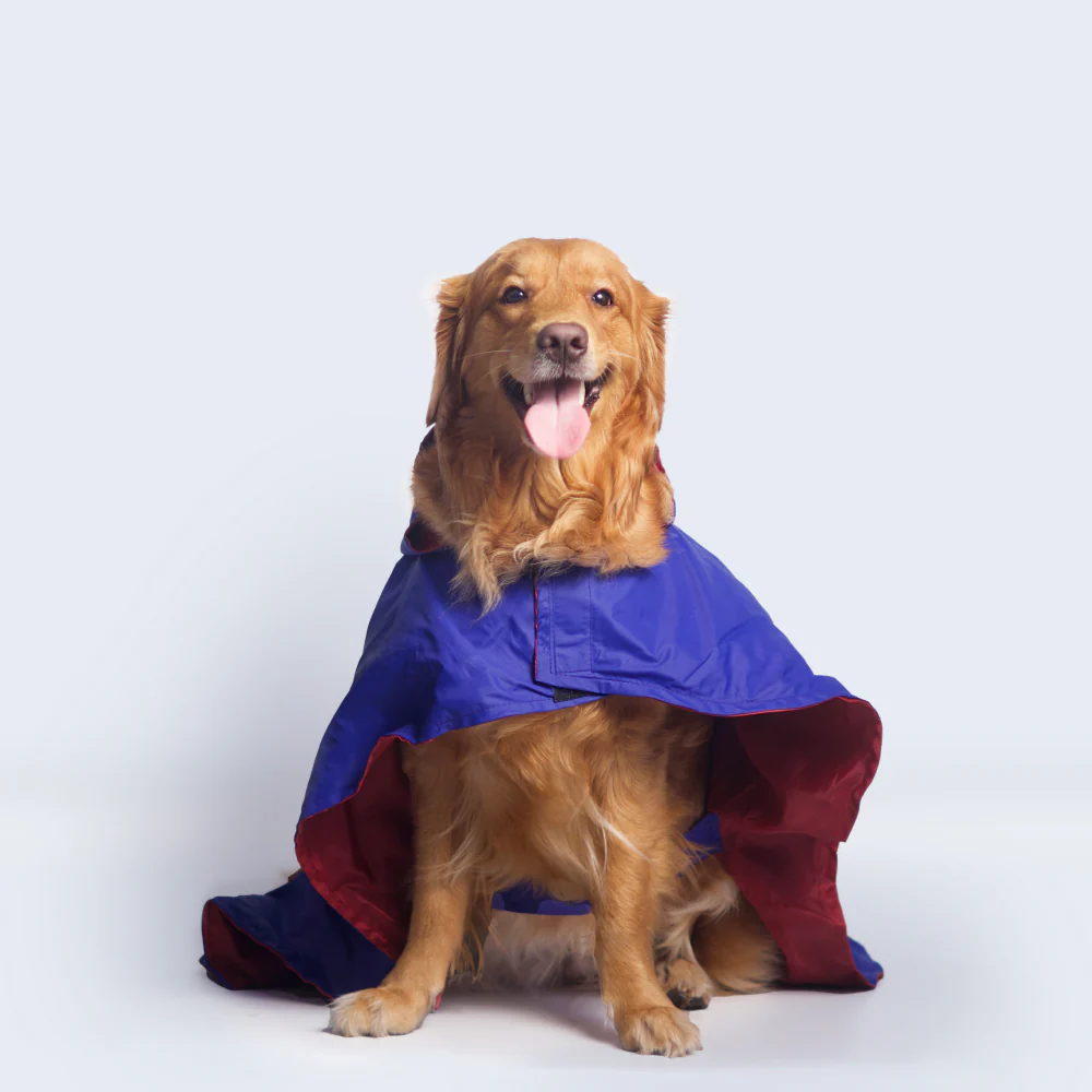 Pet Set Go Cape Style Raincoat for Dogs (Blue) - Image 9