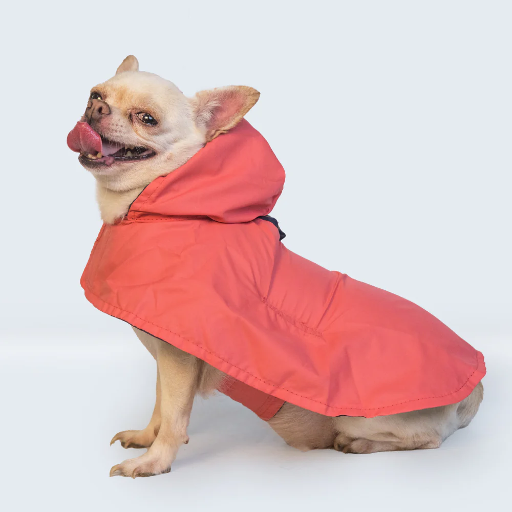 Pet Set Go Cape Style Raincoat for Dogs (Red) - Image 6