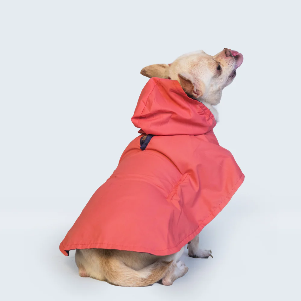 Pet Set Go Cape Style Raincoat for Dogs (Red) - Image 7