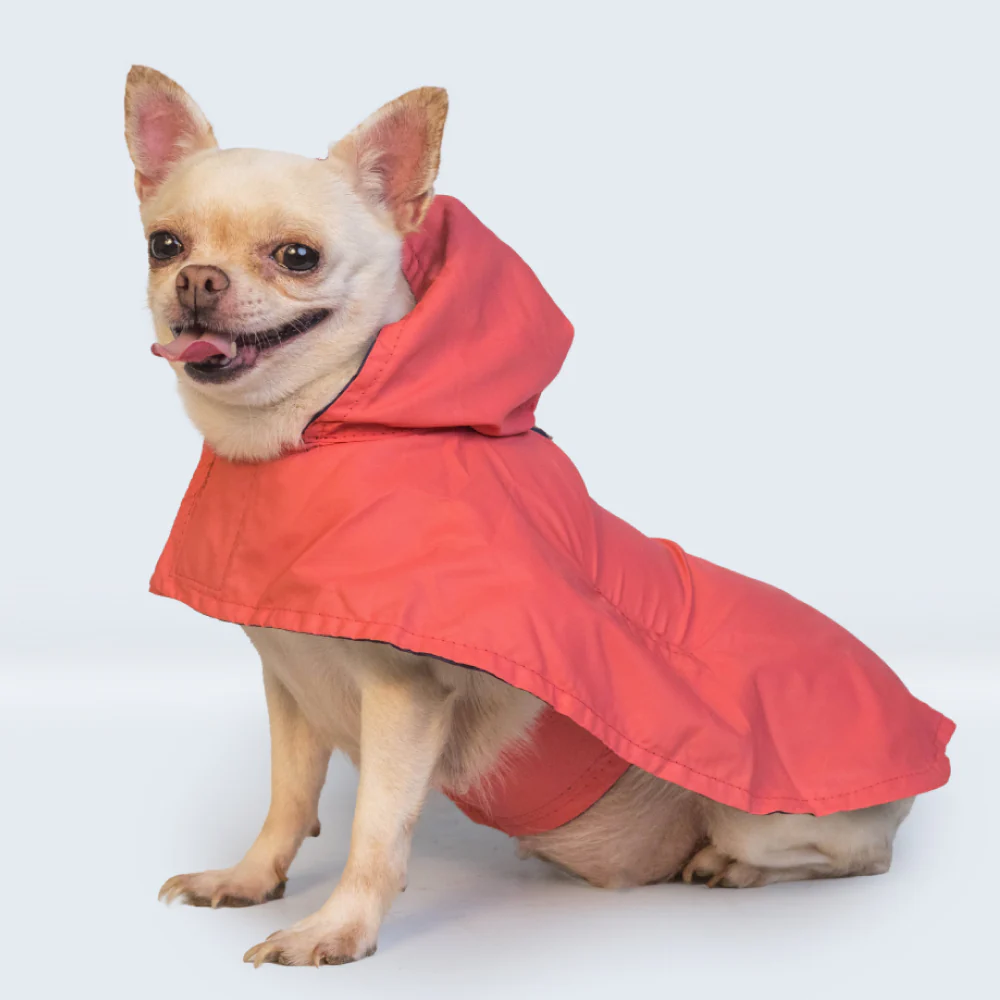 Pet Set Go Cape Style Raincoat for Dogs (Red) - Image 8