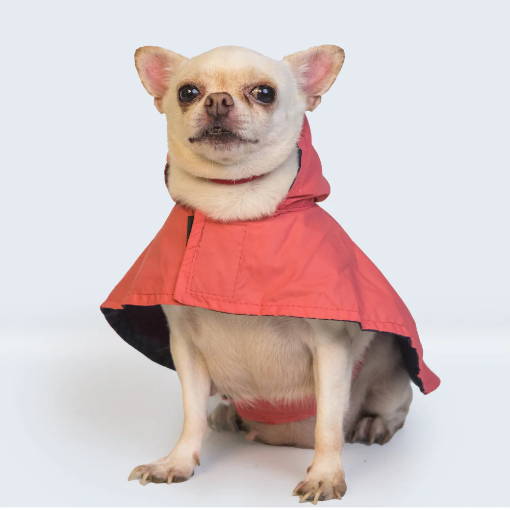 Pet Set Go Cape Style Raincoat for Dogs (Red) - Image 9