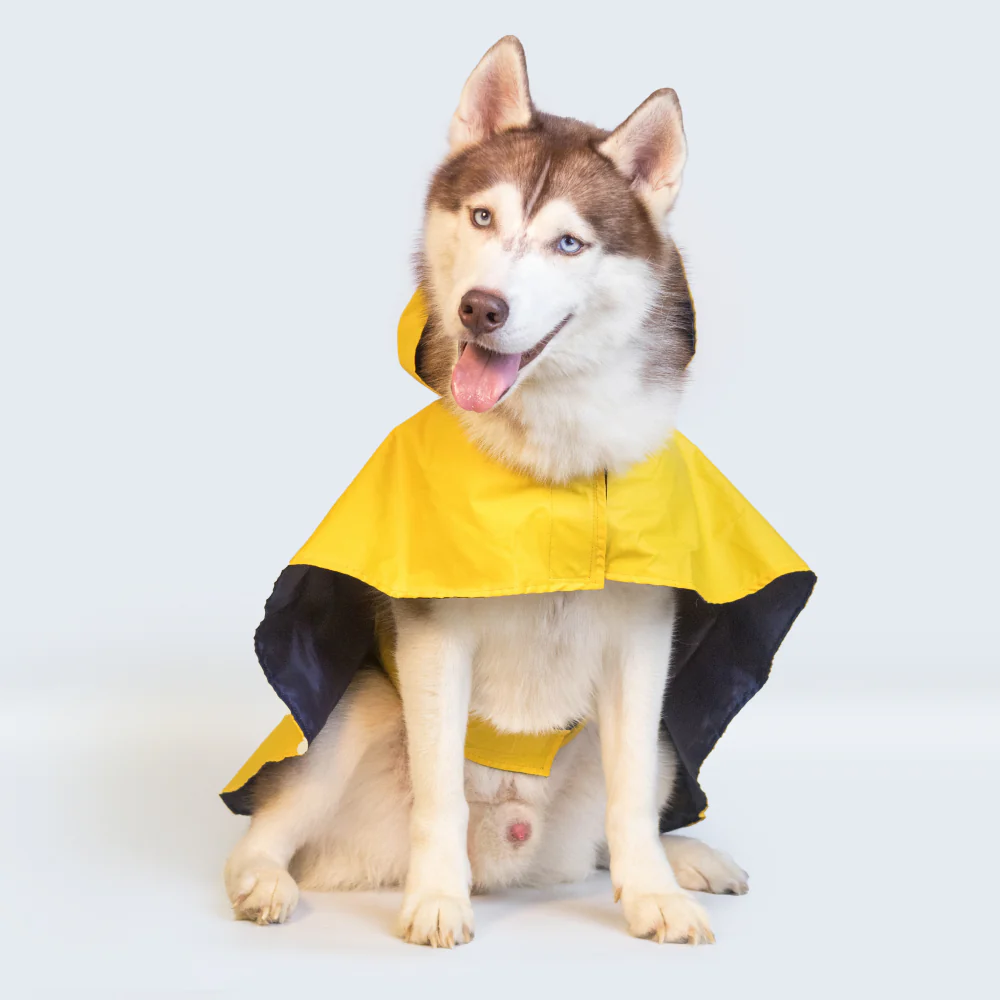 Pet Set Go Cape Style Raincoat for Dogs (Yellow) - Image 10