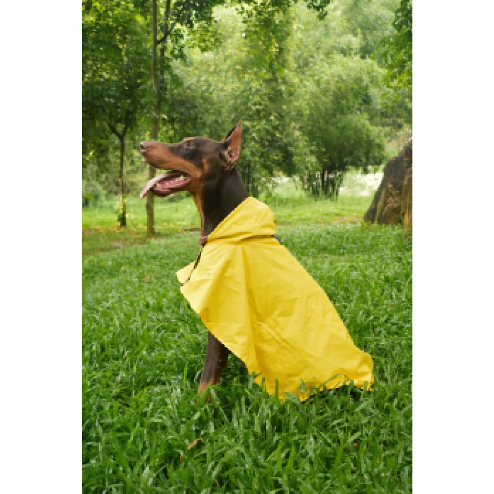 Pet Set Go Cape Style Raincoat for Dogs (Yellow) - Image 6