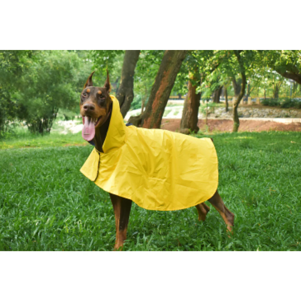Pet Set Go Cape Style Raincoat for Dogs (Yellow) - Image 7