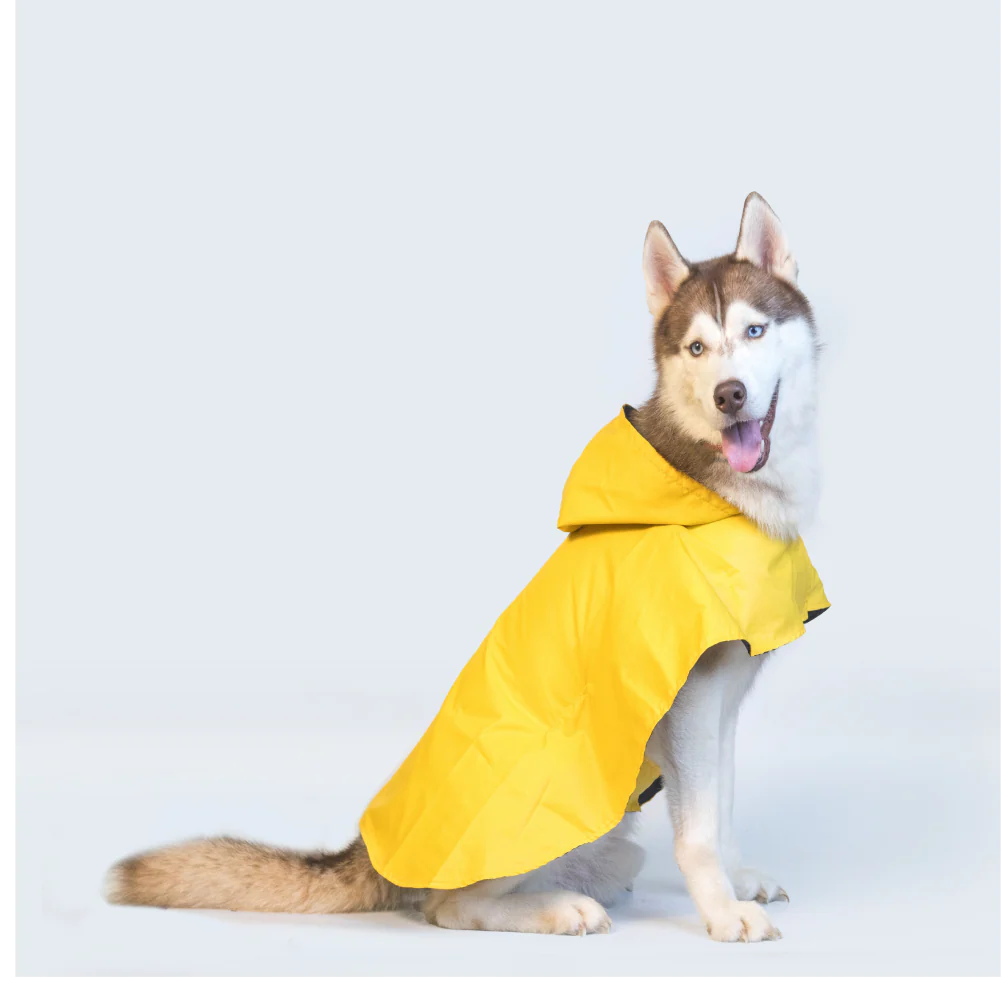 Pet Set Go Cape Style Raincoat for Dogs (Yellow) - Image 8