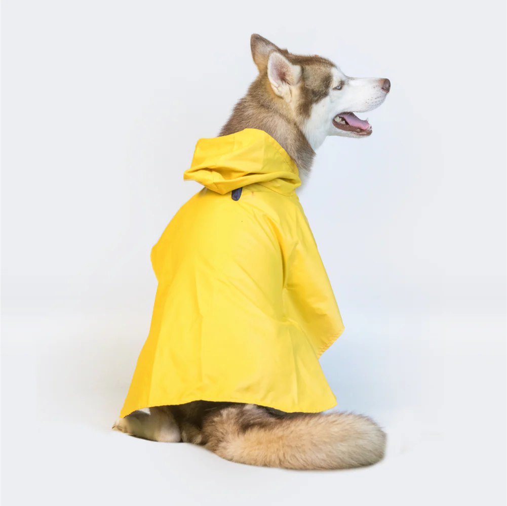Pet Set Go Cape Style Raincoat for Dogs (Yellow) - Image 9