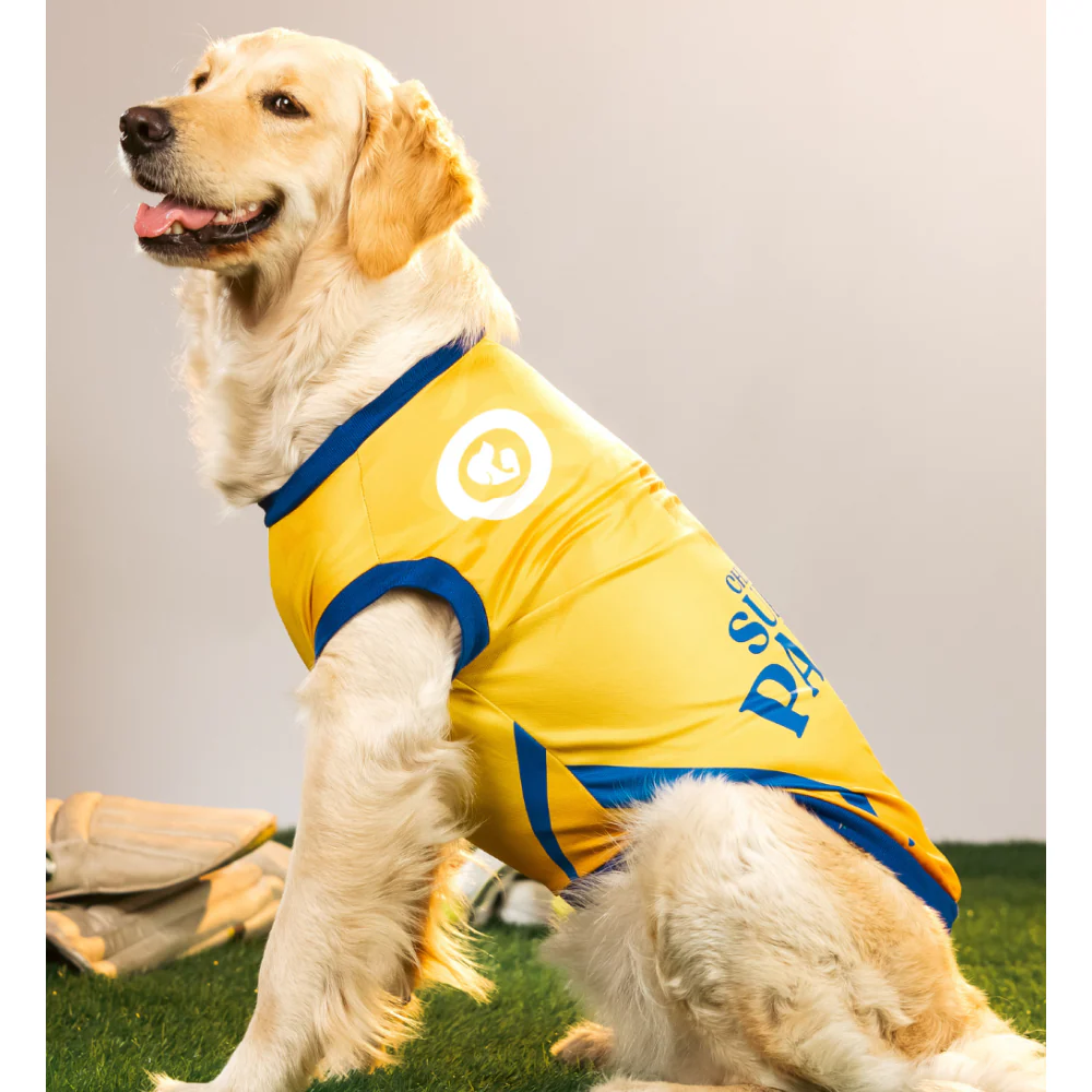 Pet Set Go Chennai Super Paws IPL Jersey for Dogs (Yellow) | Indian Pet League - Image 3