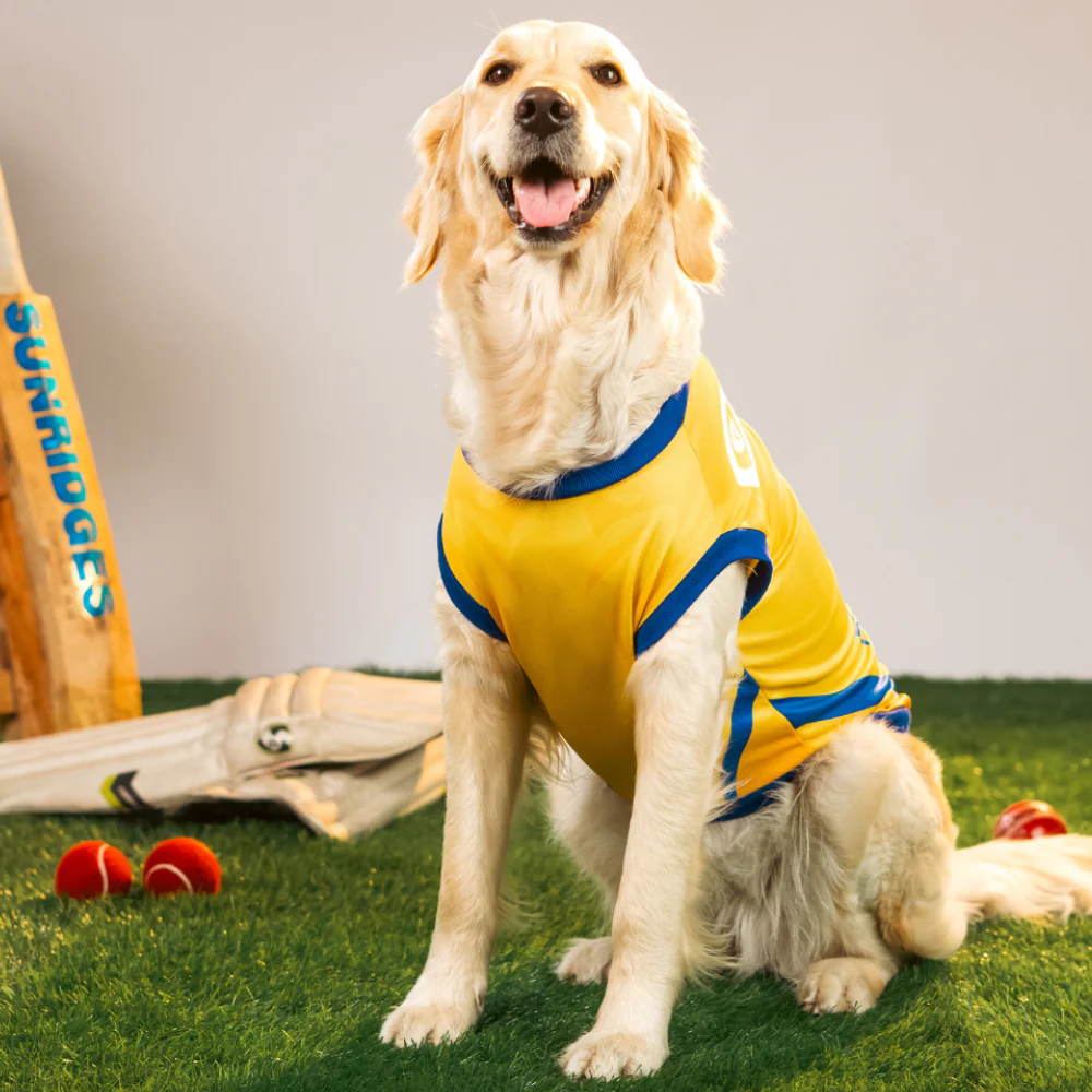 Pet Set Go Chennai Super Paws IPL Jersey for Dogs (Yellow) | Indian Pet League - Image 4