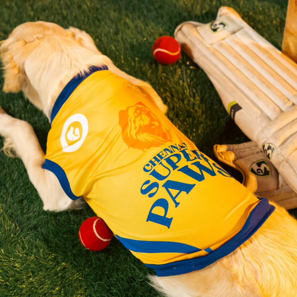 Pet Set Go Chennai Super Paws IPL Jersey for Dogs (Yellow) | Indian Pet League - Image 5
