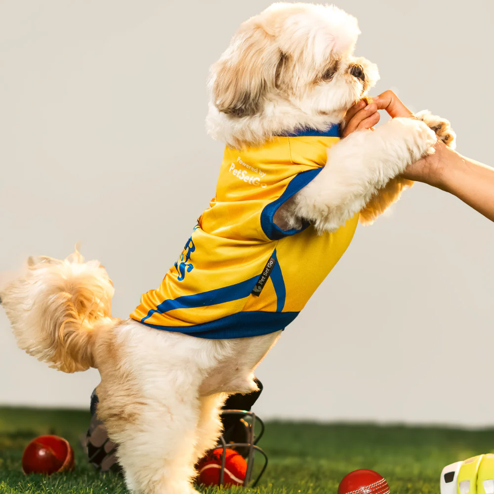 Pet Set Go Chennai Super Paws IPL Jersey for Dogs (Yellow) | Indian Pet League - Image 6