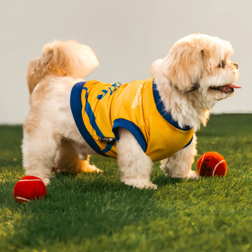 Pet Set Go Chennai Super Paws IPL Jersey for Dogs (Yellow) | Indian Pet League - Image 7