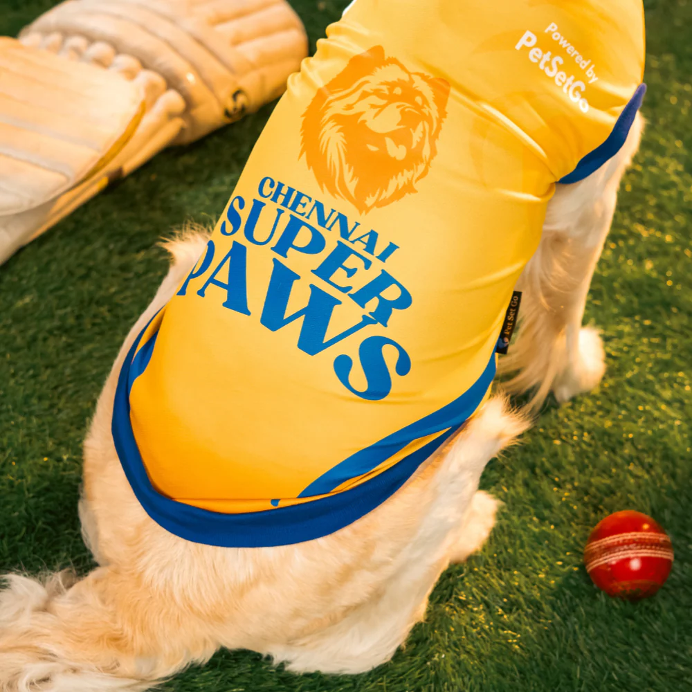 Pet Set Go Chennai Super Paws IPL Jersey for Dogs (Yellow) | Indian Pet League - Image 8