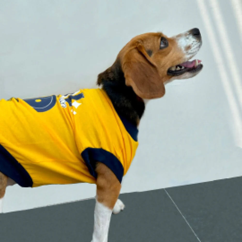 Pet Set Go Coolest Kid Ever Sleeveless T-shirt for Dogs (Yellow) - Image 3