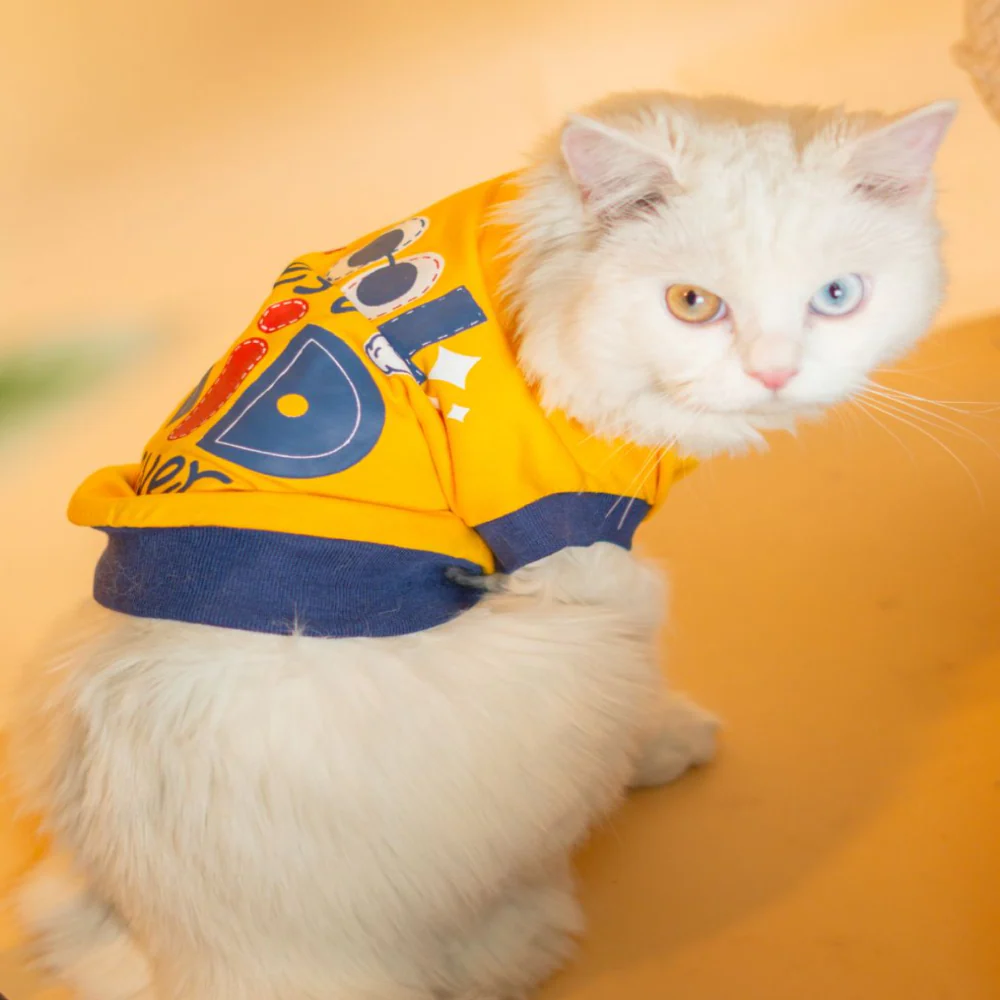Pet Set Go Coolest Kid T-shirt for Cats (Yellow) - Image 3
