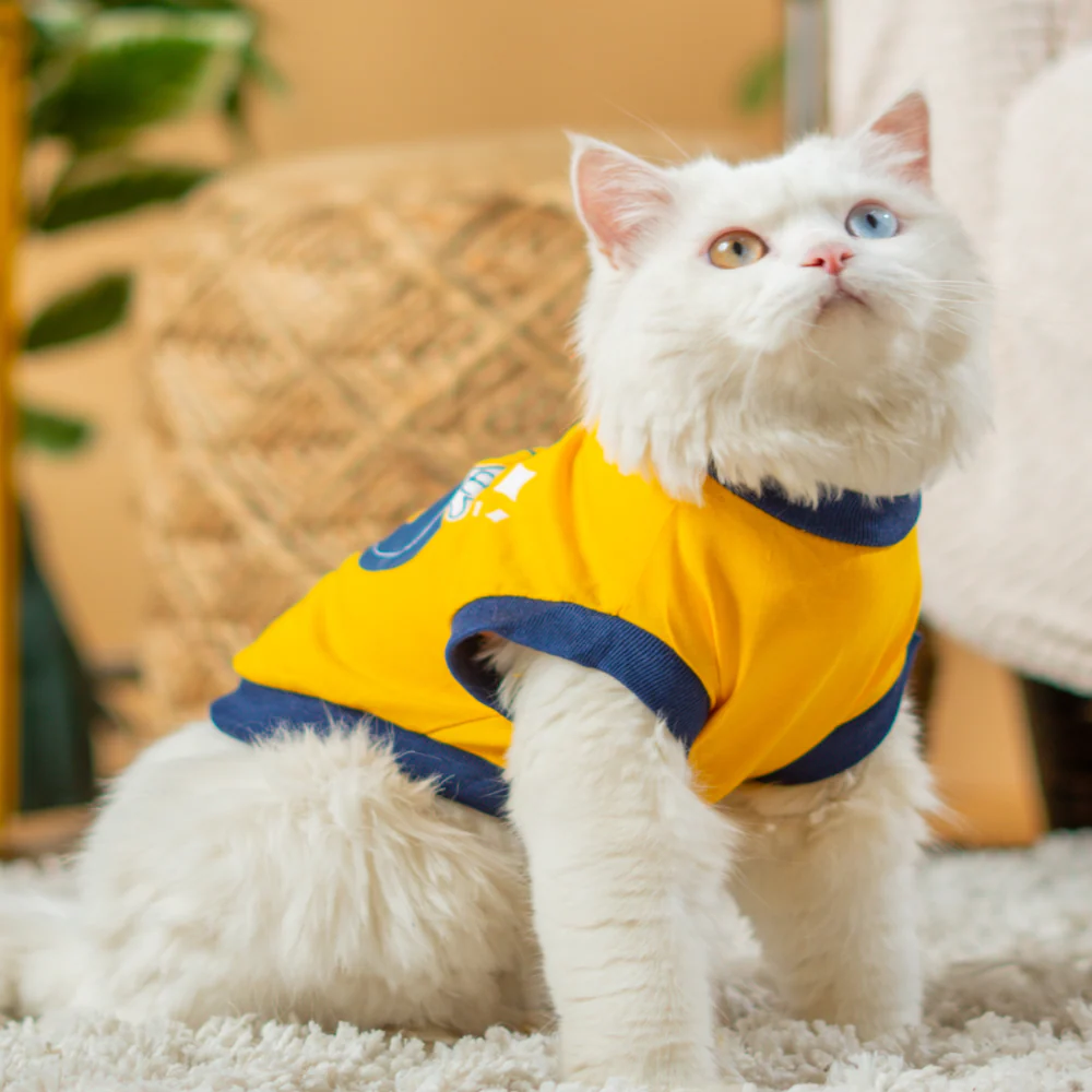 Pet Set Go Coolest Kid T-shirt for Cats (Yellow) - Image 4